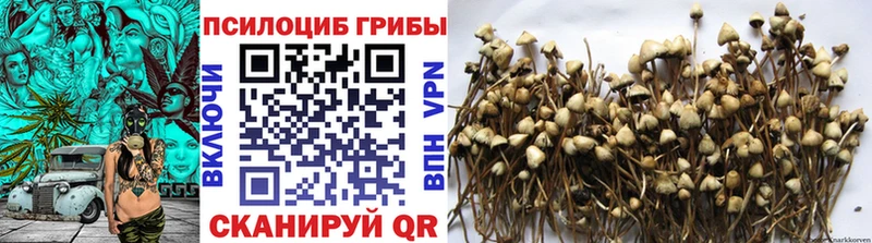 hydra сайт Пыталово Псилоцибиновые грибы Psilocybe